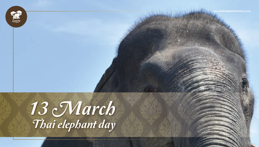 Thai Elephant Day