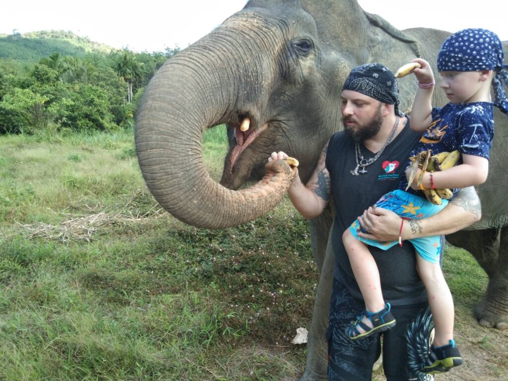 Feeding an elephant by hand at Lanta Elephant Sanctuary