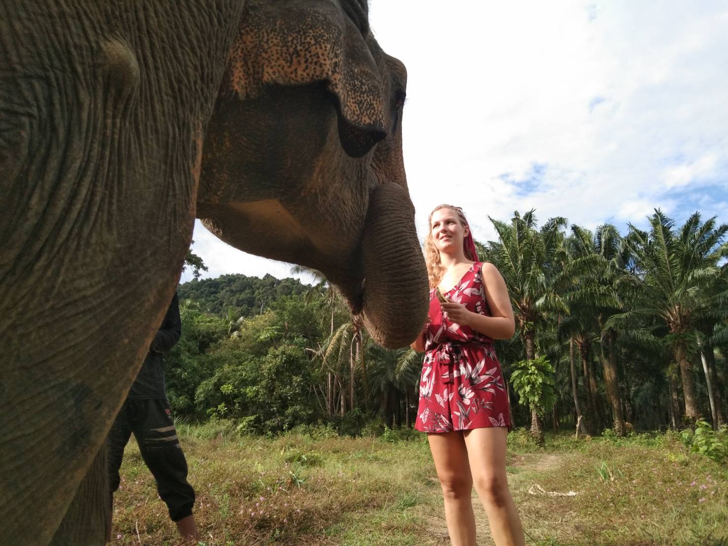Home - Lanta Elephant Sanctuary (No Riding)